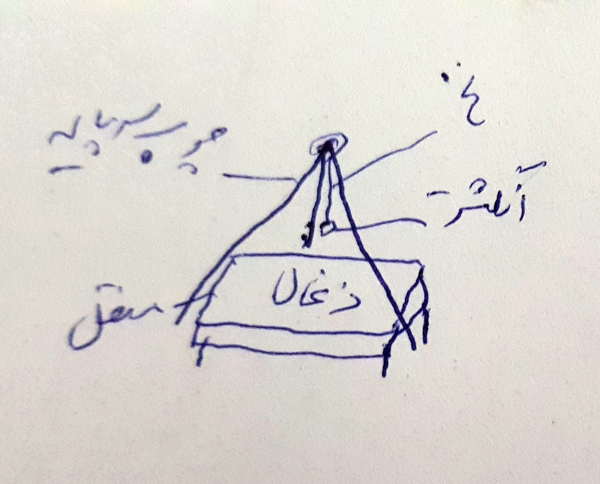 غذای انگشتر موکل دار